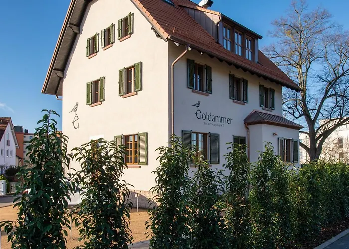 Goldammer Aschaffenburg